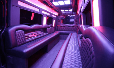Tulsa 14 Passenger Sprinter Bus Interior
